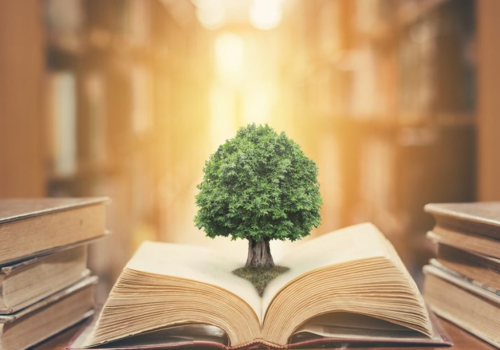 sg-escolaviva_conhecimento